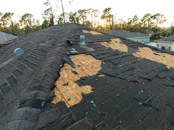 Best Gutter Installation and Repair  in Twin Rivers, NJ